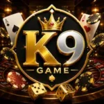 K9 Game